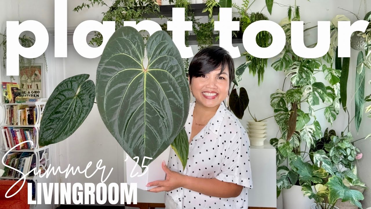 Living Room Plant Tour 🌿 | Summer 2025 Collection Updates