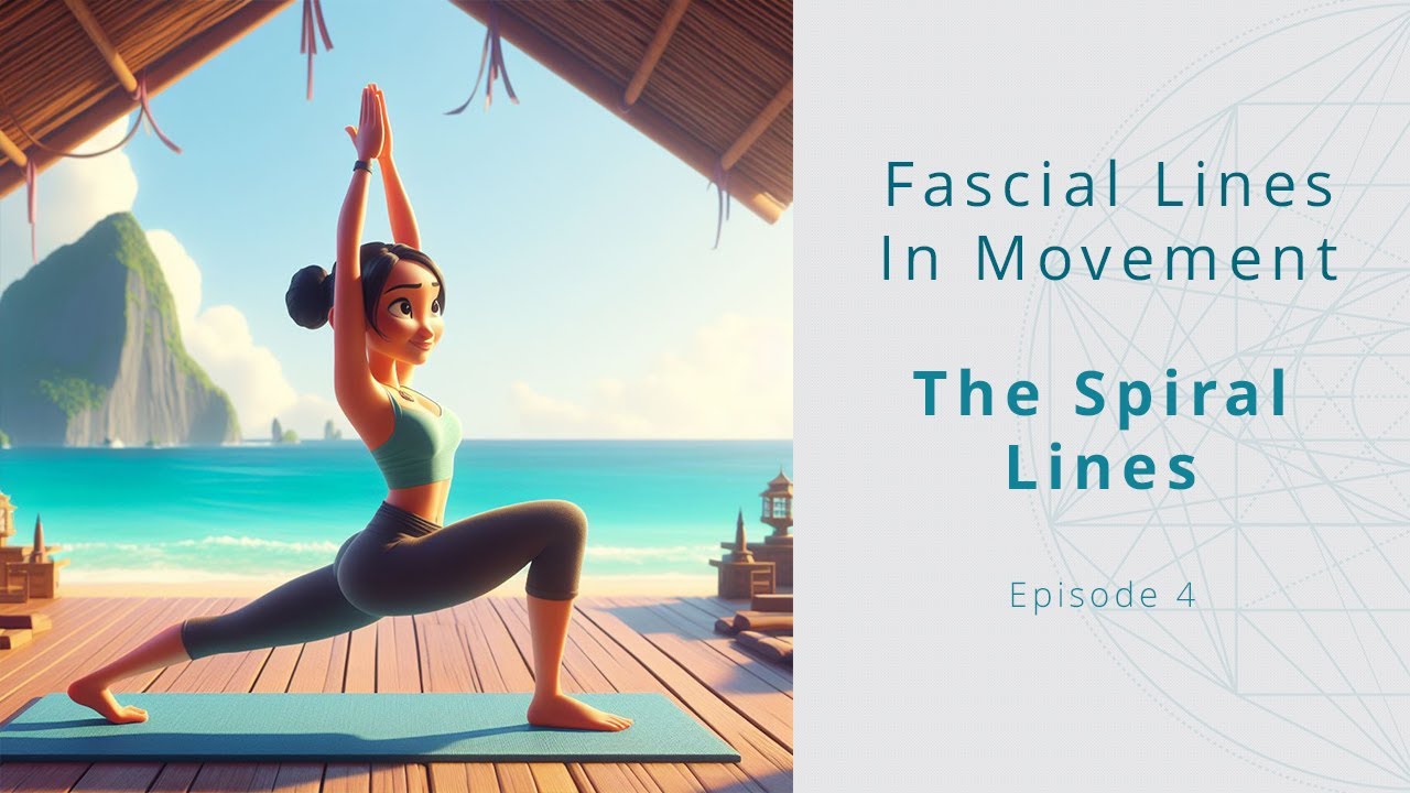 Using the Spiral Lines in Movement | Fascial Lines for Yoga Teachers