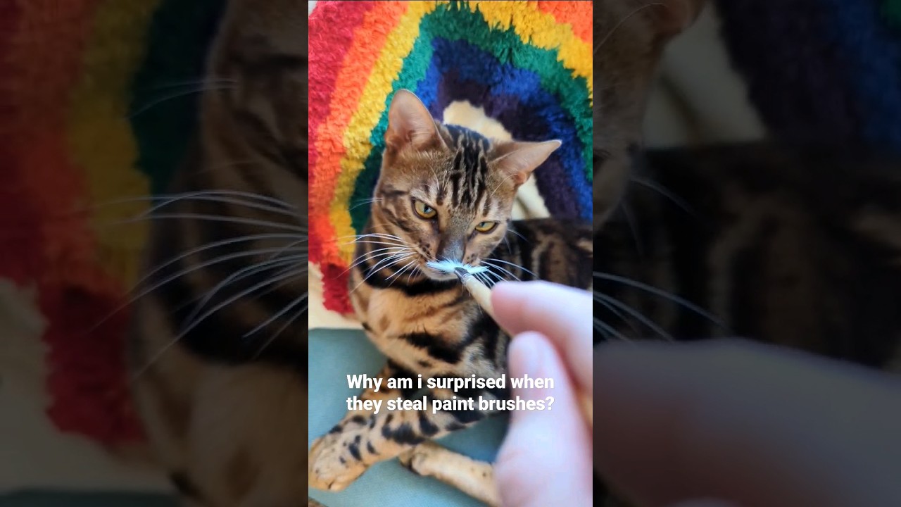 These cats know the struggles of art. 