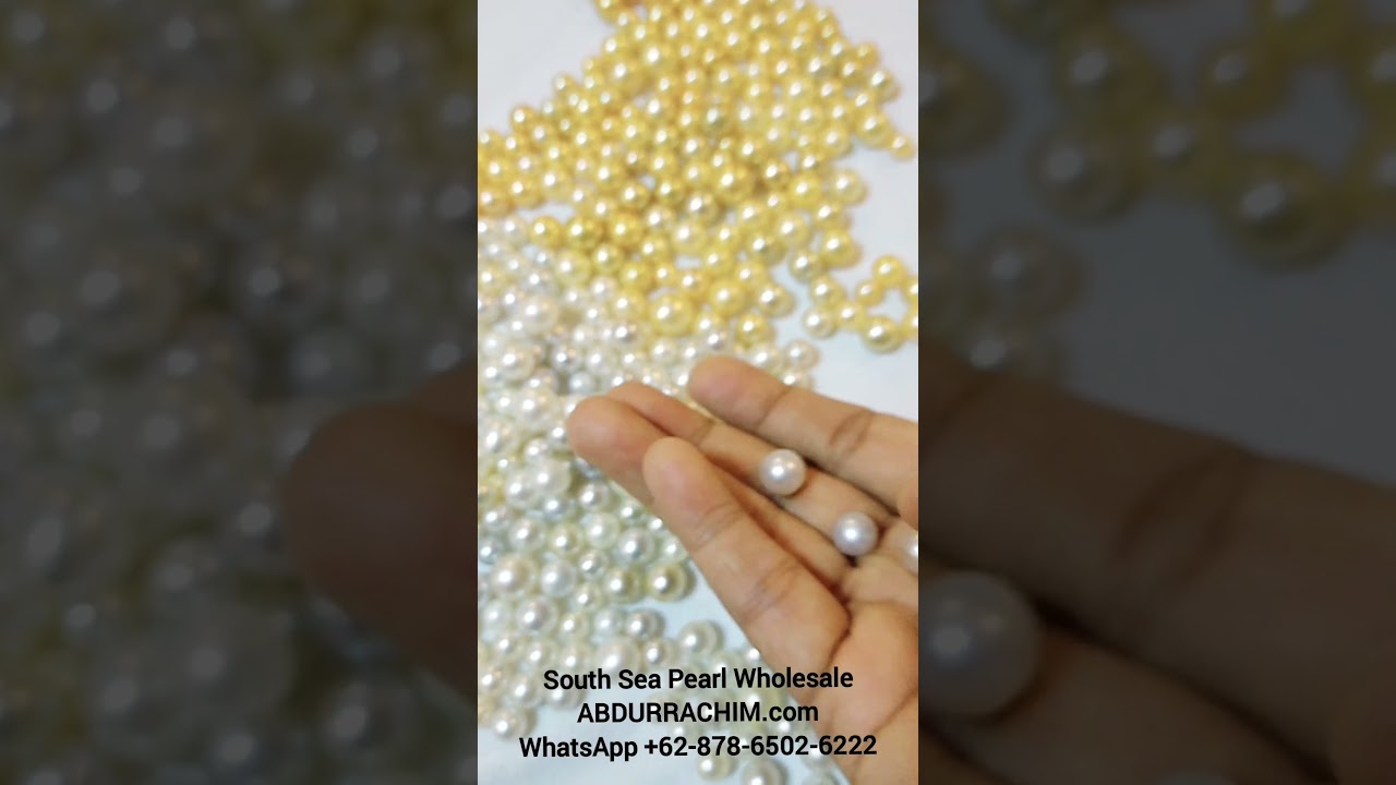 South Sea Pearl Wholesale 👉 WhatsApp +62 878 6502 6222 pearl farm 50