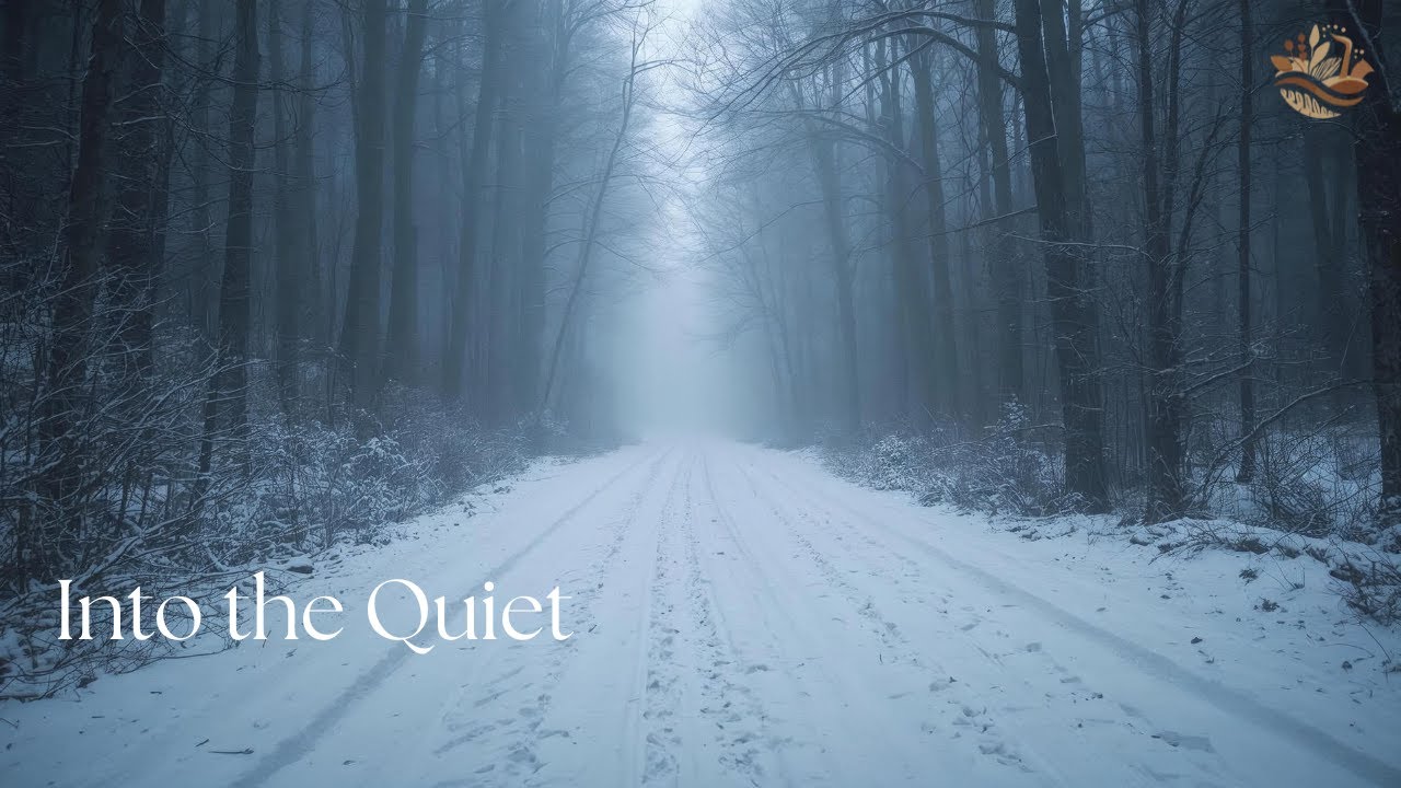 Silent Winter Forest Path ❄️🌲 | Lofi Jazz for Calm, Focus & Reset (4K)