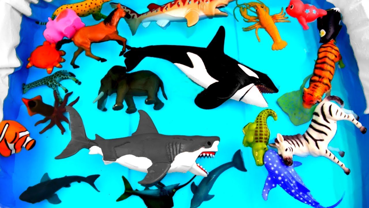Wild Animals Learning for Kids With Safari Ocean Sea Animals
