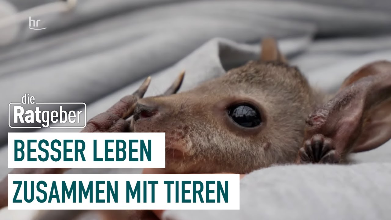 Besser Leben | im Einklang mit Tieren | 5/5 | Die Ratgeber
