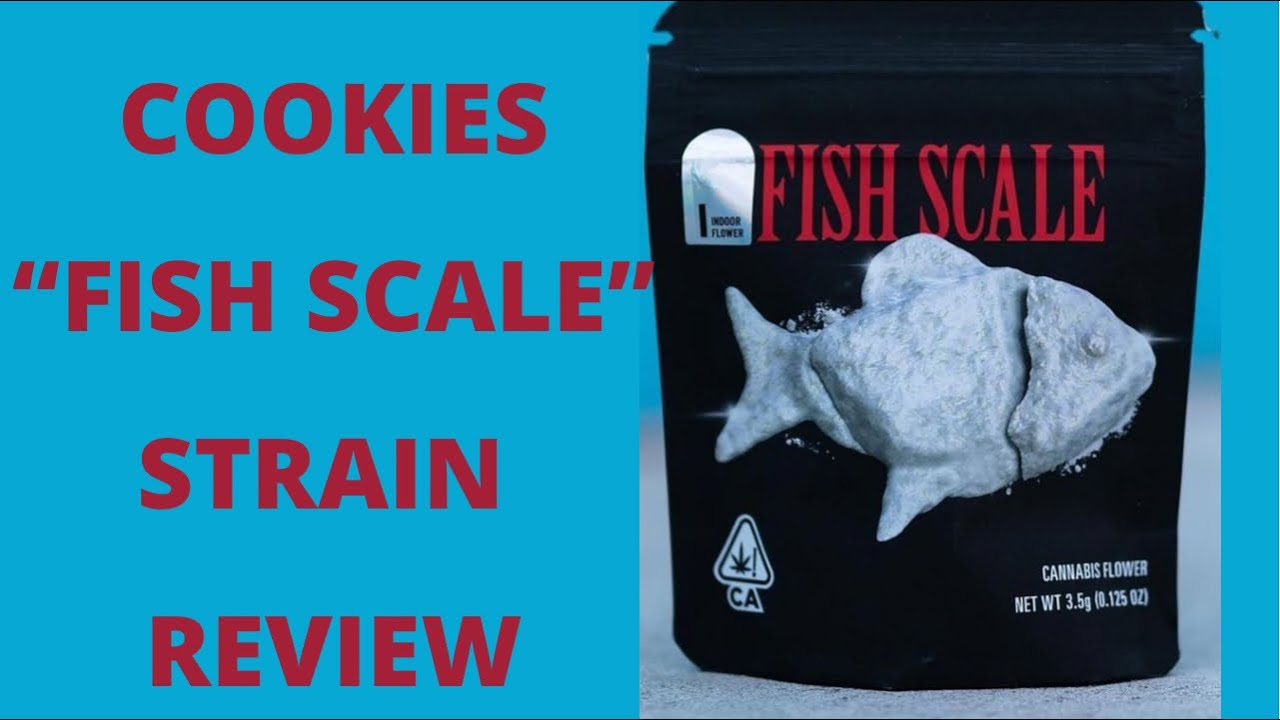 COOKIES: FISH SCALE {STRAIN REVIEW}
