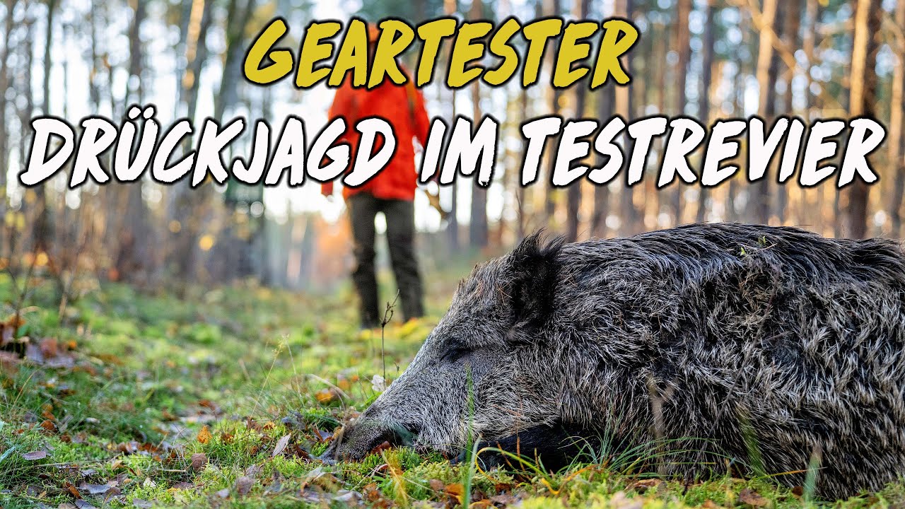 Dr&uuml;ckjagd im Testrevier