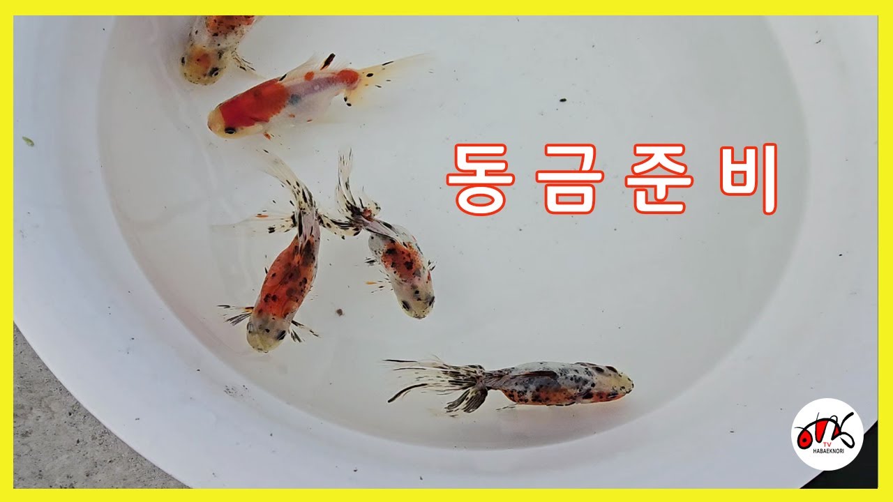 동금준비