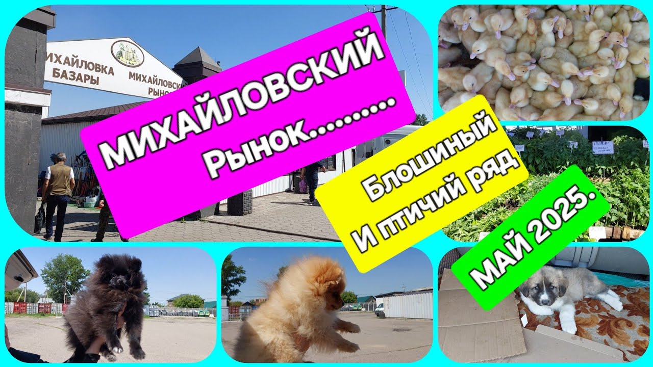 КАРАГАНДА. 31 мая. Михайловский рынок.