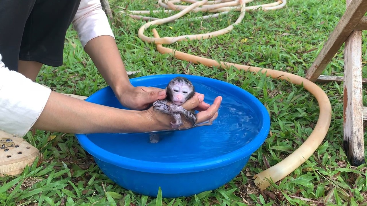 Smallest BB too much wo0rri & scta..ching mom's hand hrdly when bathing
