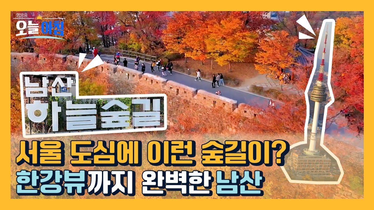 서울 한가운데 새로 열린 ‘남산 하늘 숲길’🌿 도심 속 힐링 명소!ㅣ [생방송오늘아침] #걷다보면