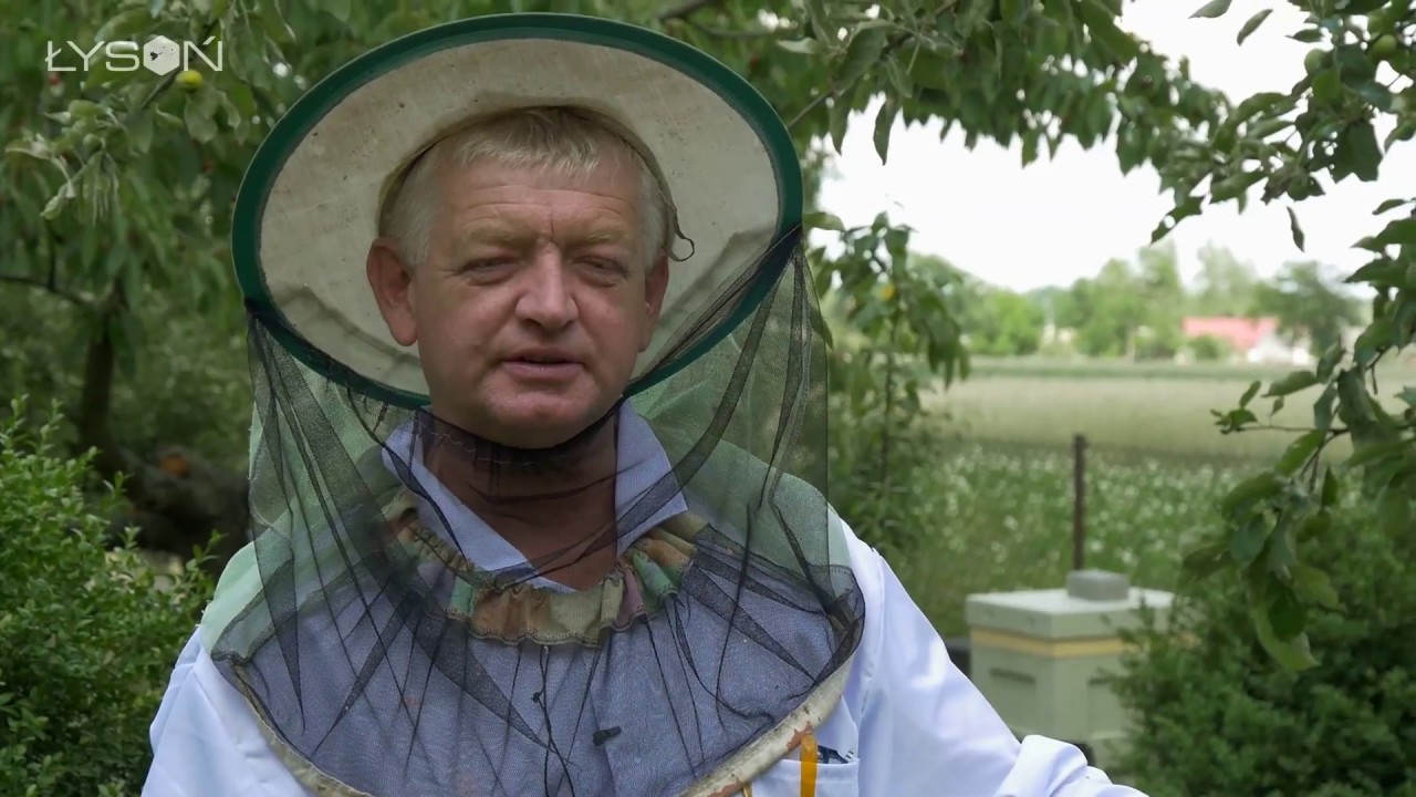 Улей из пенопласта - заселение улья на пасеке