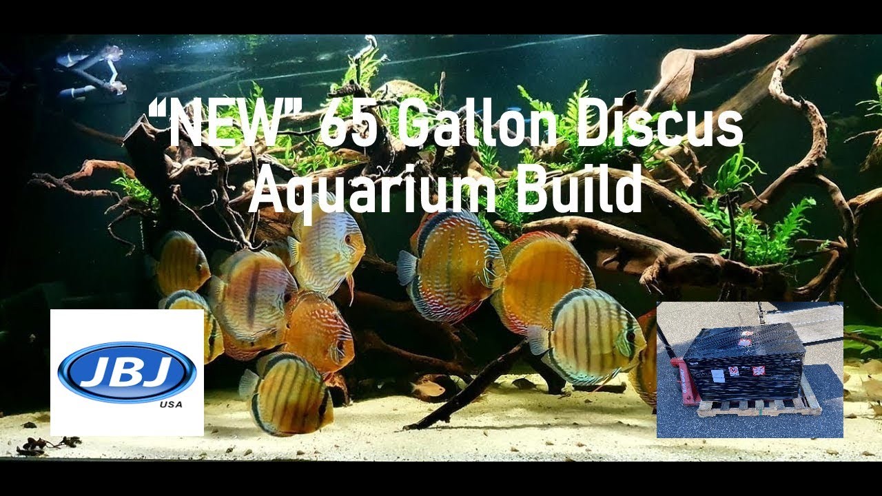 BUILDING A 65 GALLON FRESHWATER DISCUS TANK! | Part 1 of 3 (FULL TUTORIAL)