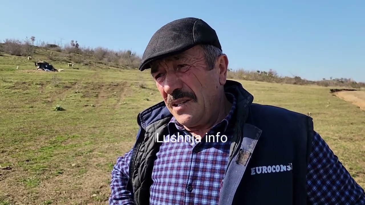 Nga Skrapari n&euml; Myzeqe sh&euml;tit kopen&euml; e deleve,blegtori shet mish e qum&euml;sht me &ccedil;mim t&euml; lir&euml;,k&euml;rkon ba