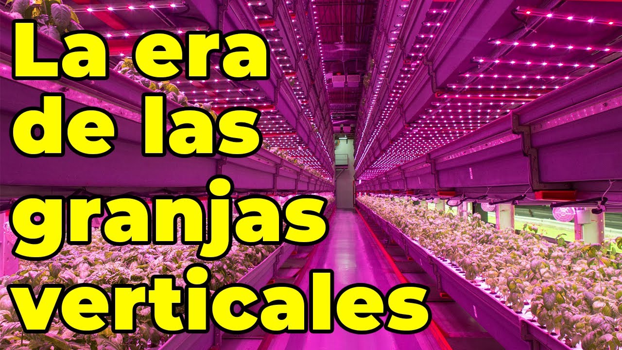 Granjas verticales con IA,  el futuro sin tierra que alimentará a la humanidad