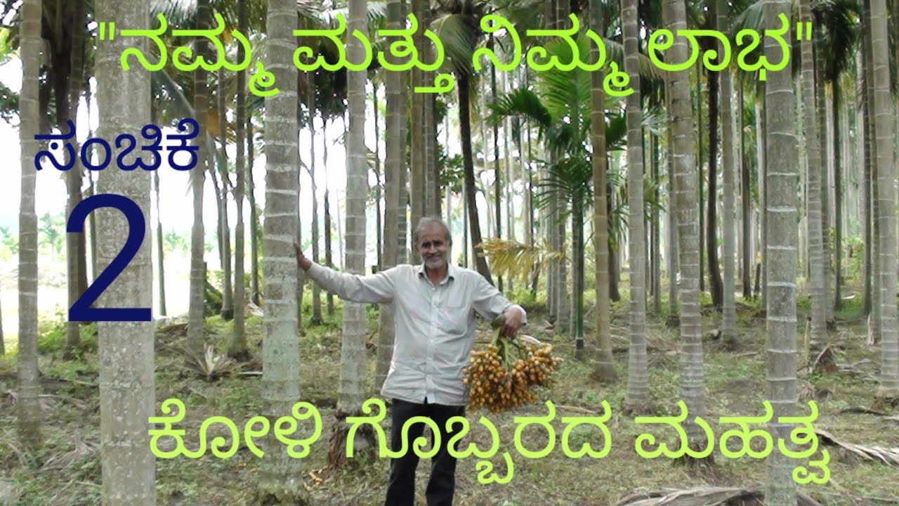 ಅಡಿಕೆ ಮರಕ್ಕೆ ಕೋಳಿ ಗೊಬ್ಬರ ಮಹತ್ವ || ಸಂಚಿಕೆ-02||