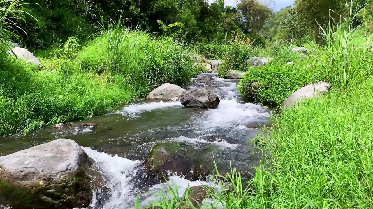 Tranquil River Flow – 10 Hours of Water ASMR  - Stress, Anxiety Relief & Meditation Sounds