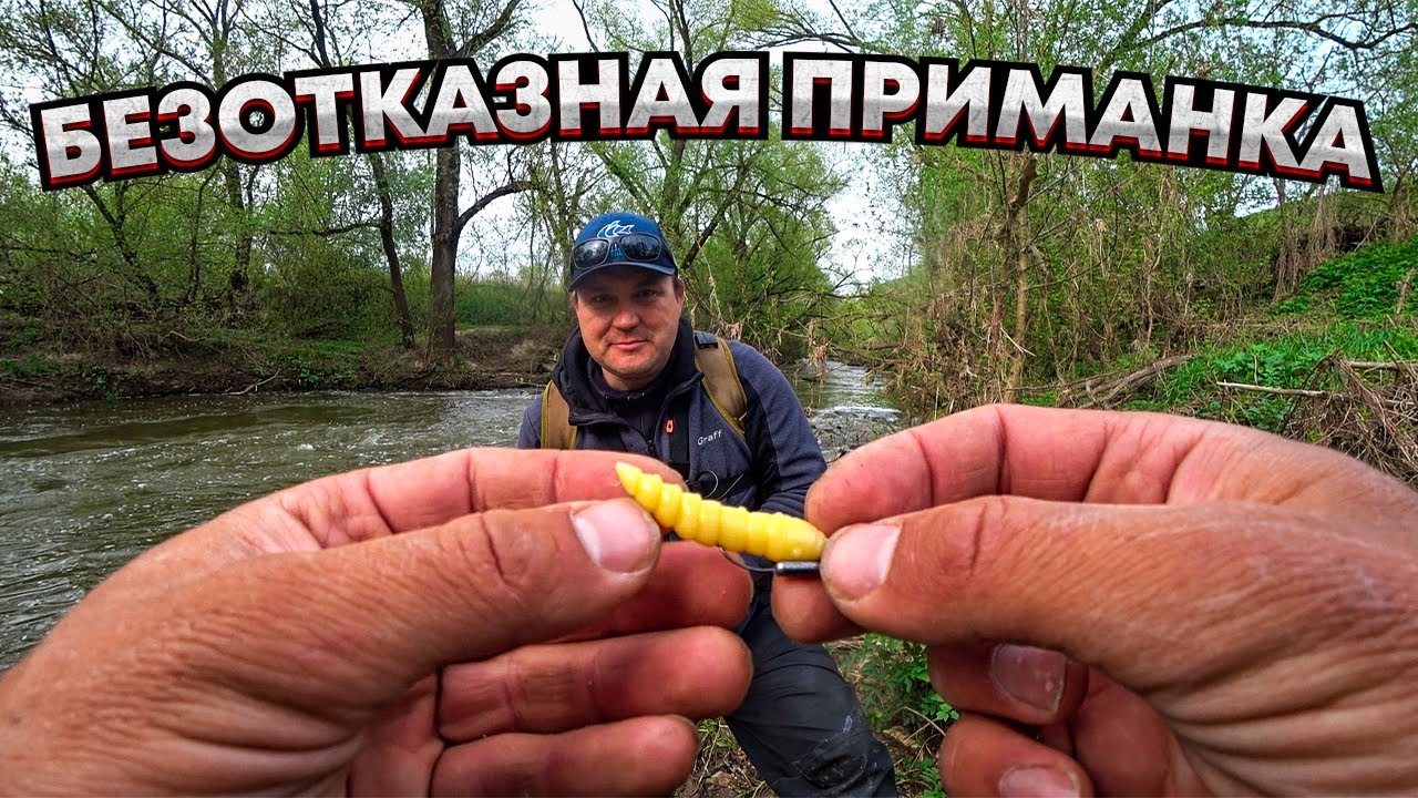 БЕЗОТКАЗНАЯ приманка в рыбалке на БОЛЬШОГО голавля / Заглянули в РУЧЕЙ, а там!!!
