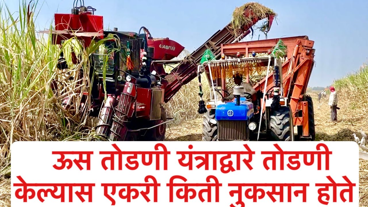 ऊस तोडणी यंत्राच्या साह्याने तोडणी केल्यास एकरी नुकसान किती होते sugar cane Harvester machine ￼
