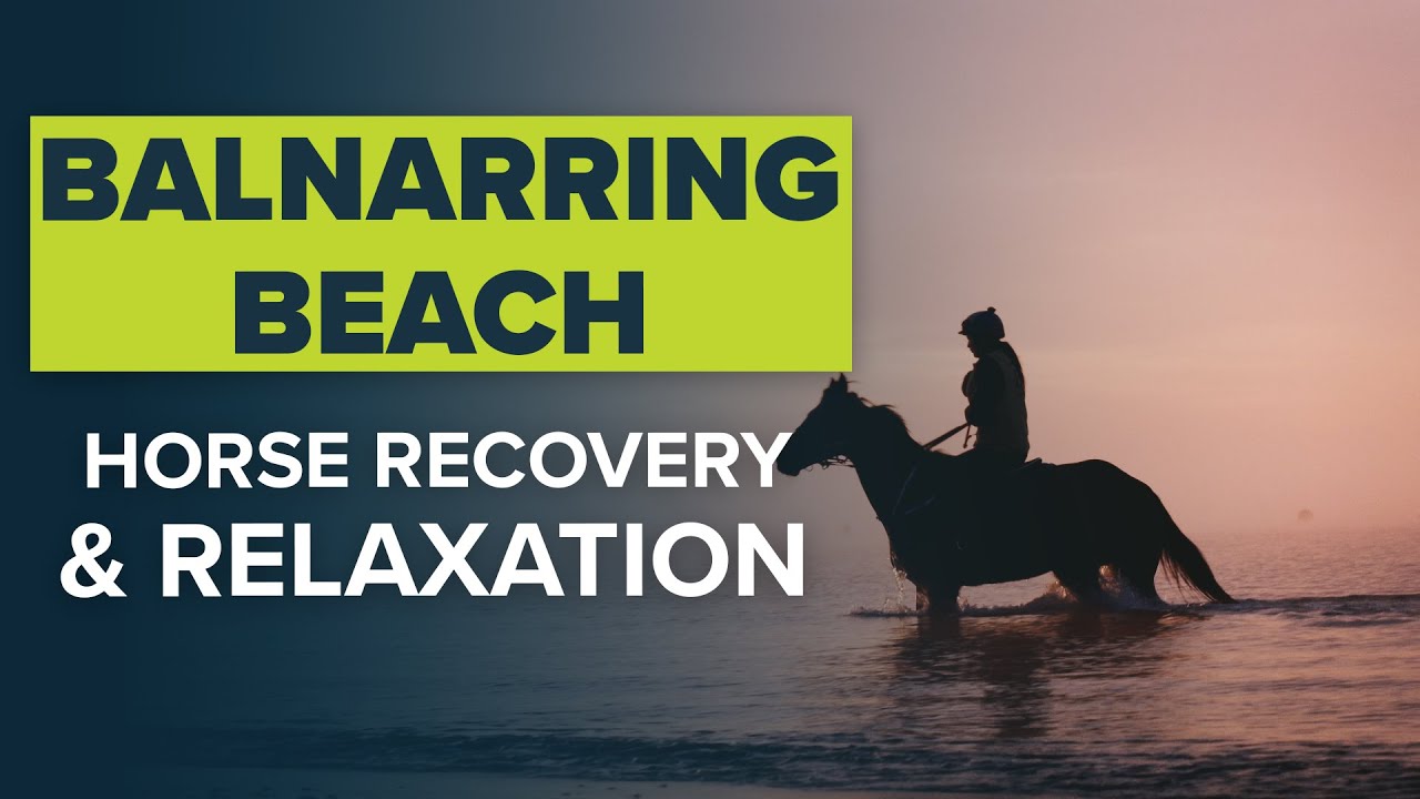 RACING AND RELAXATION AT BALNARRING BEACH | HORSES RECOVER IN A GORGEOUS, PICTURESQUE SETTING!