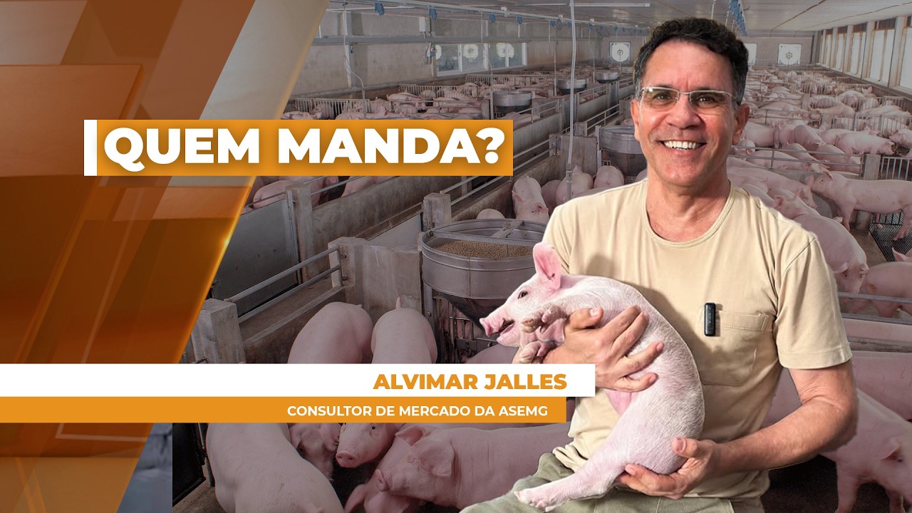 Exportação, indústria e varejo: quem define o preço?