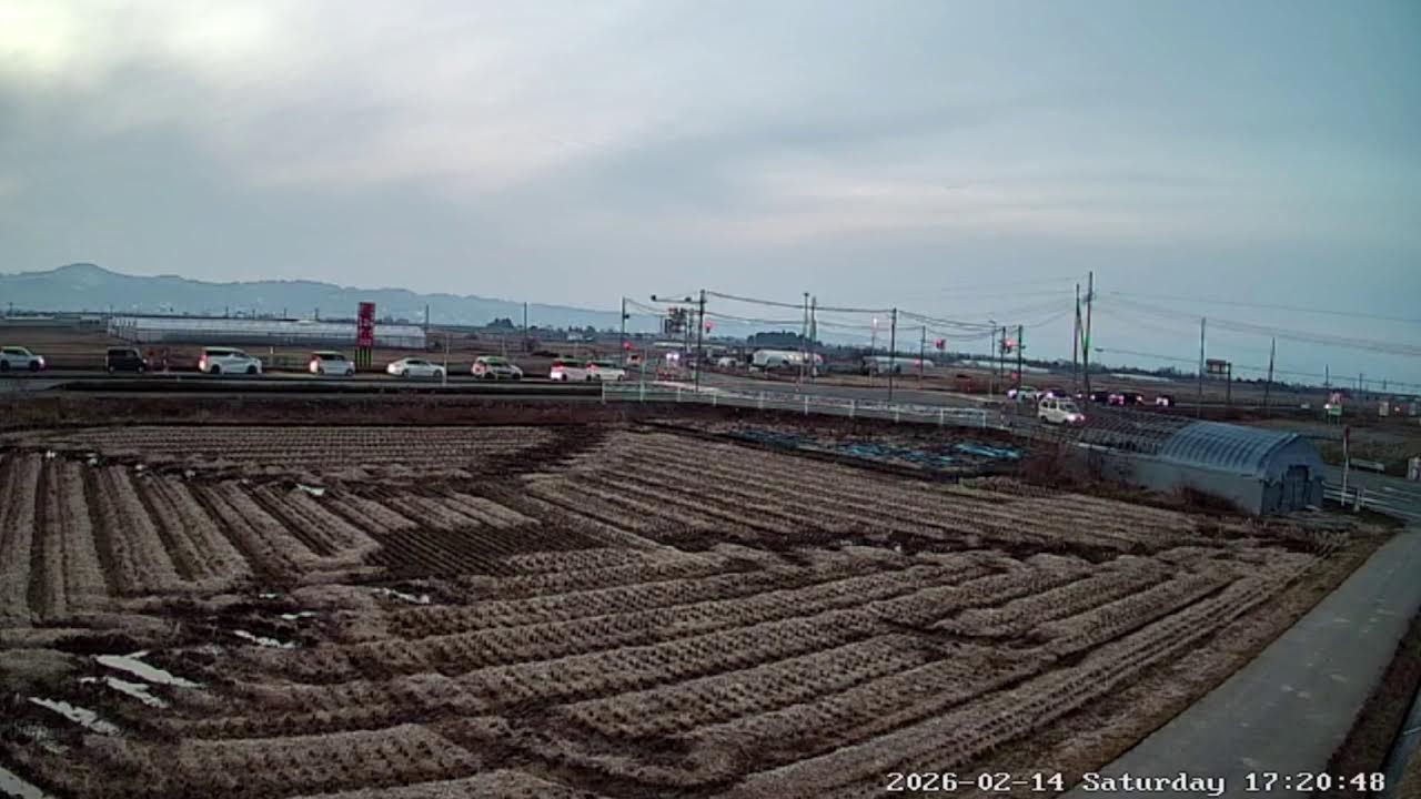 山形県山形市檀野前稲作ライブカメラ Yamagata Yamagatashi Live camera.world.cam
