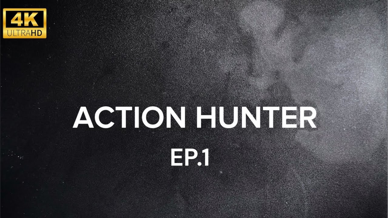 Action figure hunter | hunt for collectibles 