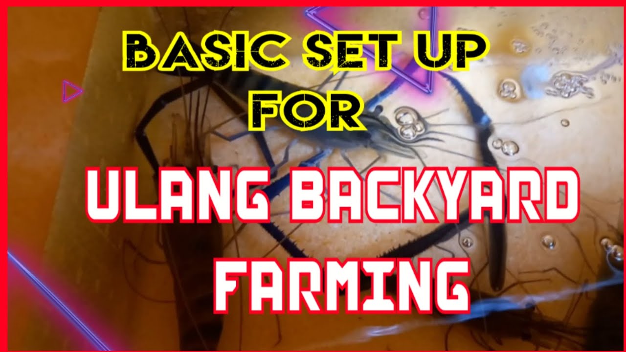 HOW TO FARM GIANT ULANG