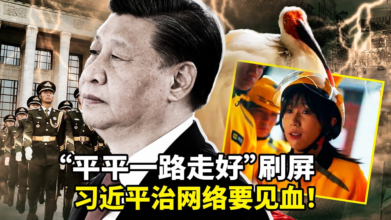 习近平突然喊「真刀真枪、刺刀见红」整治网络！同一周央视外卖「看风景」翻车、朱鹮平平去世被封杀，三事件为何同时引爆？中国网民彻底怒了！