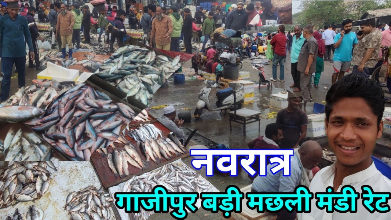 Gazipur Machhali Mandi Delhi 🐟नवरात्र