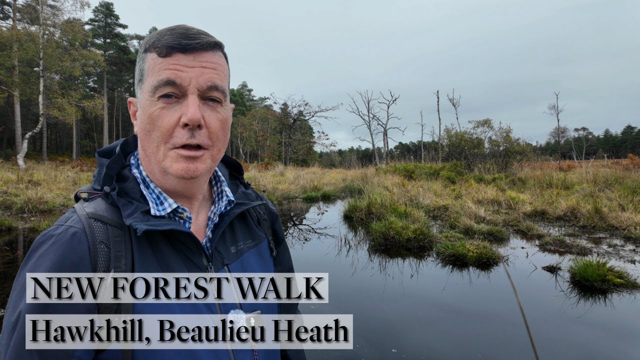 288: Hawkhill and Beaulieu Heath (New Forest 2025)