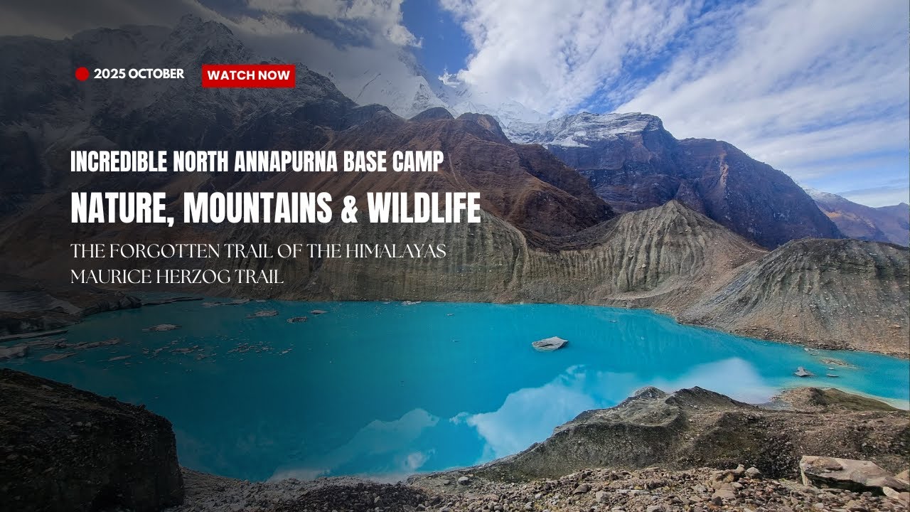 Incredible North Annapurna Base Camp | Nature, Mountains & Wildlife
