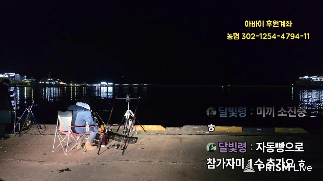 낙금 해지  된 동명항에서 드론 낚시 뭐가 나올까요?