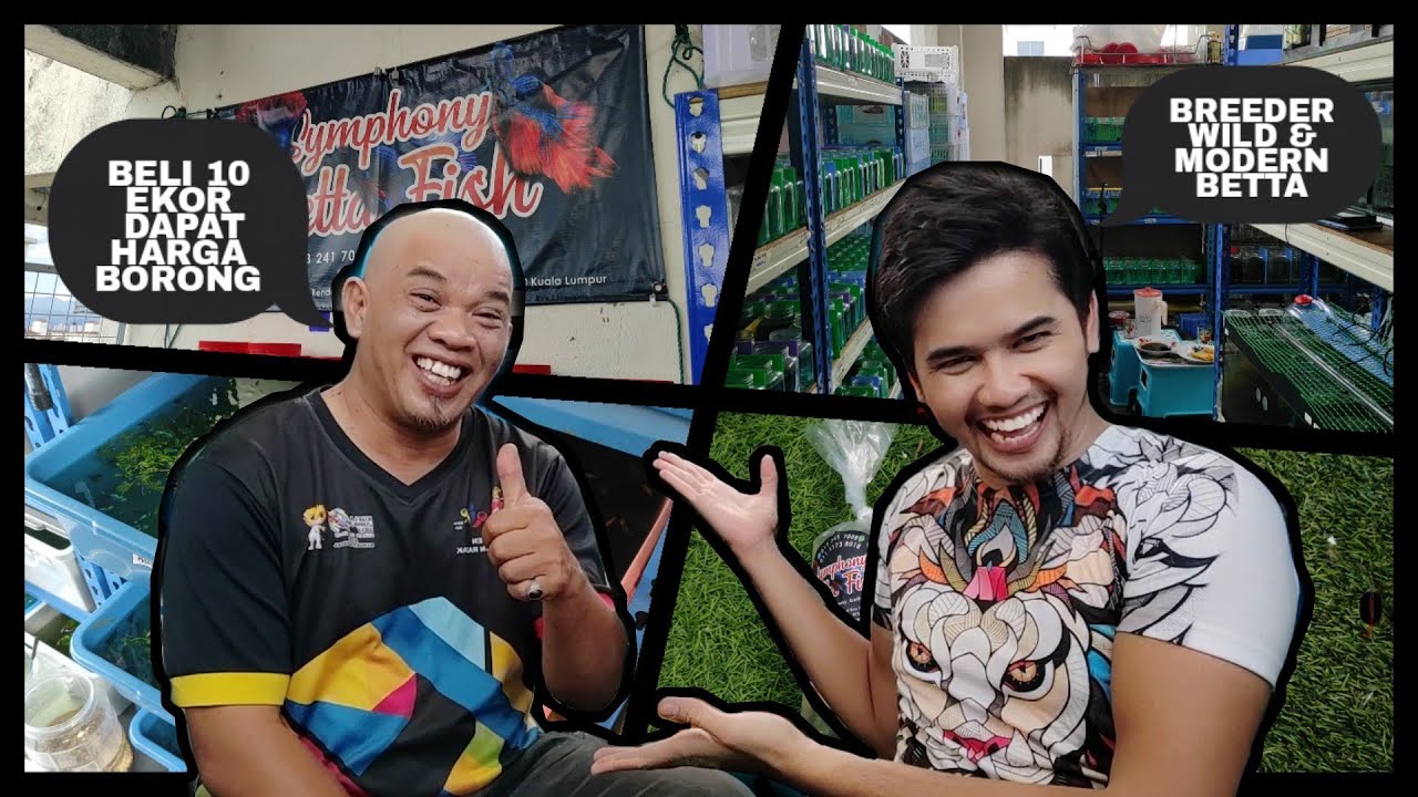 PART 1 | MELAWAT FARM IKAN LAGA 