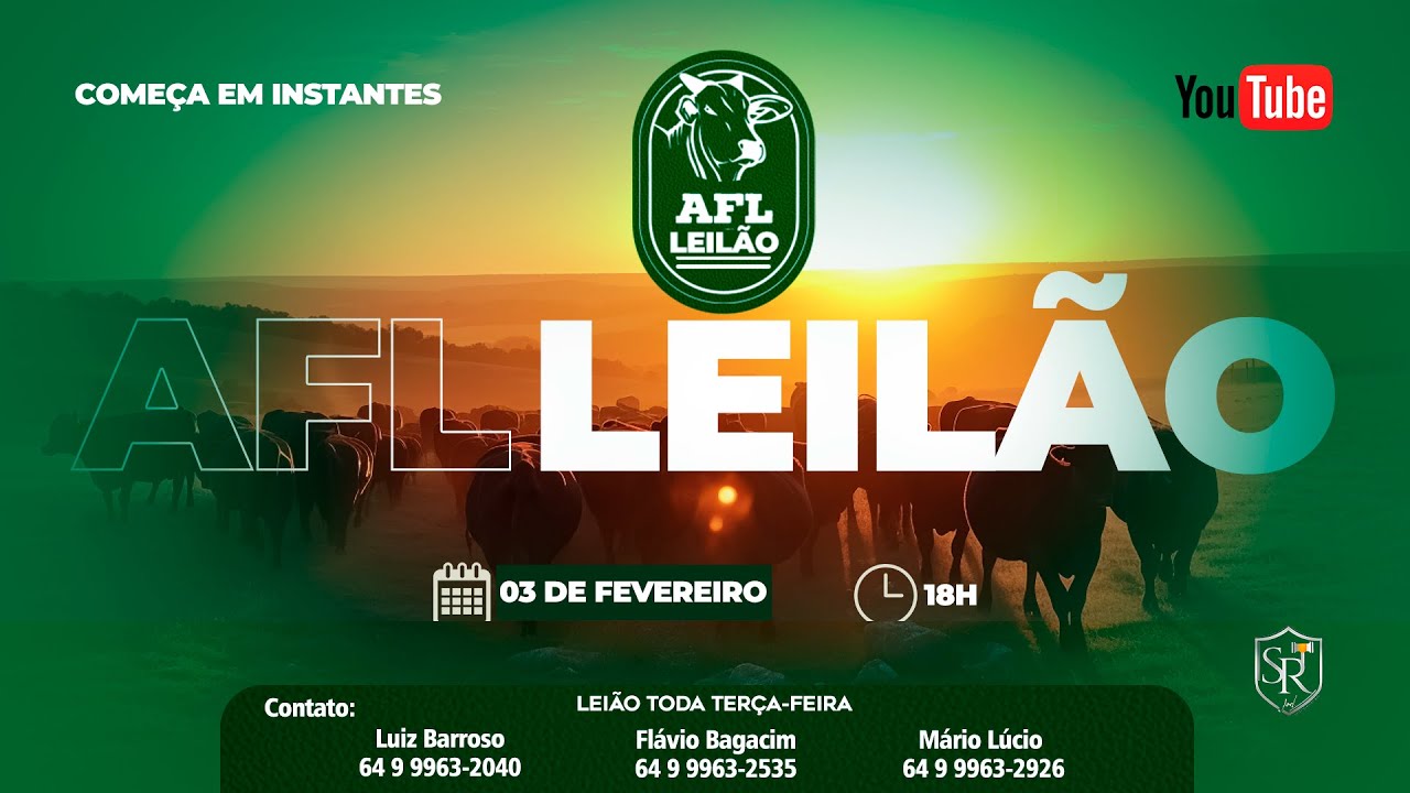 AFL Leil&otilde;es - Leil&atilde;o do Trevo de acesso a Ca&ccedil;u-GO 03/02/2026 LEIL&Atilde;O 1185