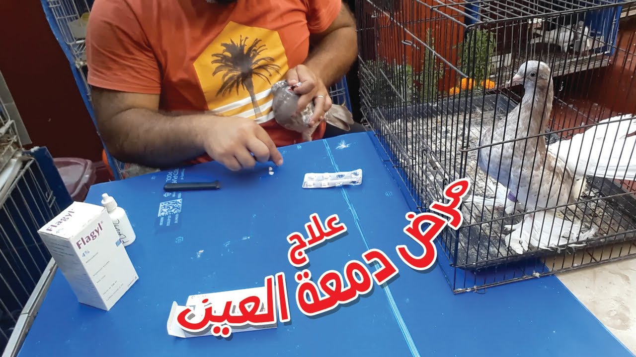 علاج مرض دمعة العين دخل إستفد و تولع