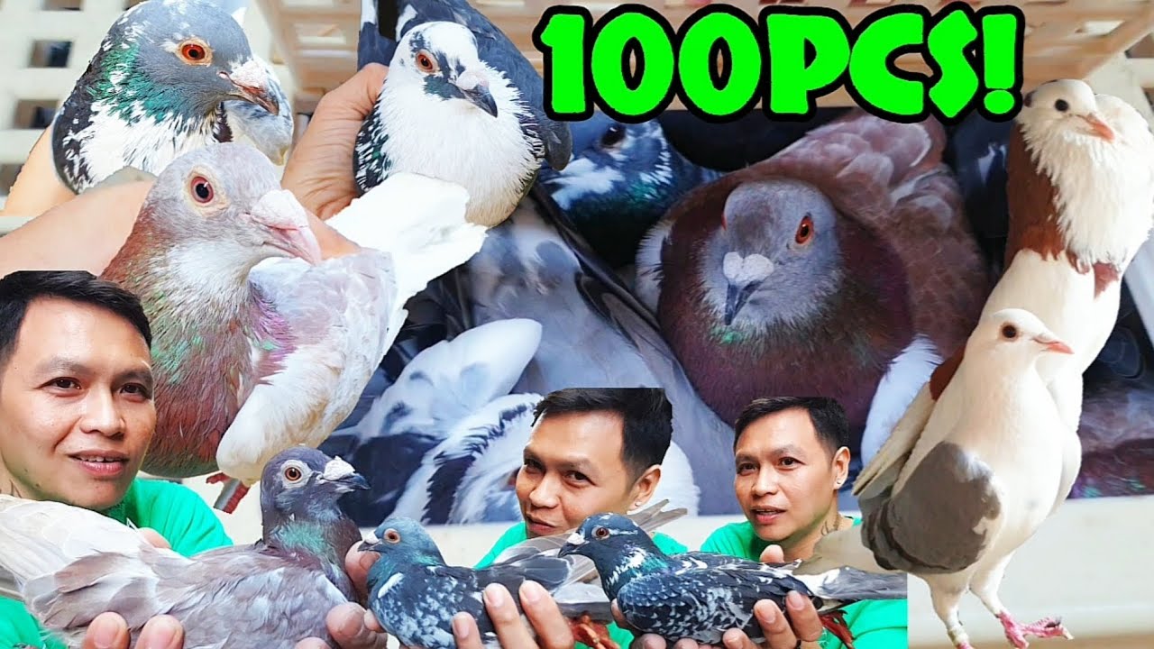 GRABENG IBON TO! ANG GAGANDA LAHAT NILA!
