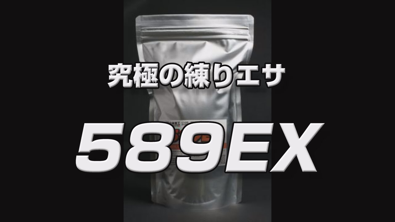 589EX