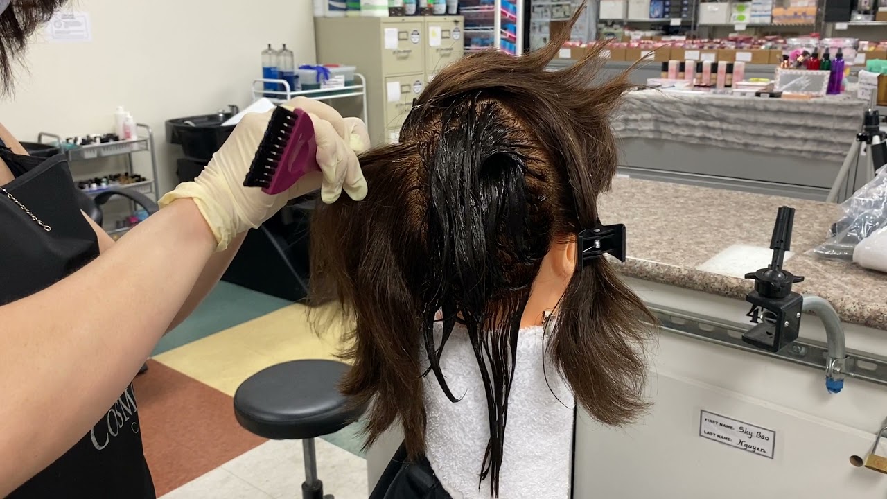 Barber State Board Practice 9: Hair Color Retouch Application