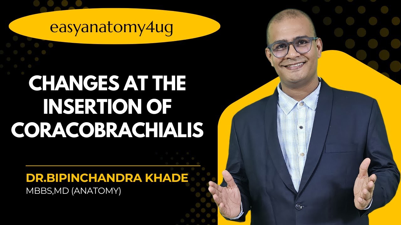 Changes at the Insertion of Coracobrachialis