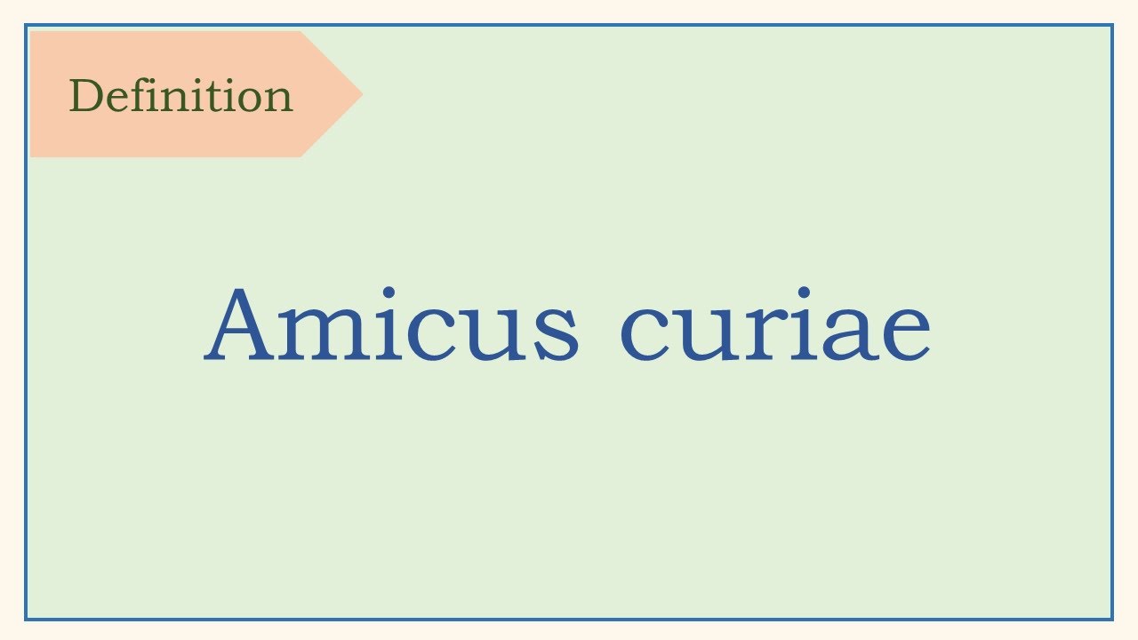 Legal term, definition, Amicus curiae