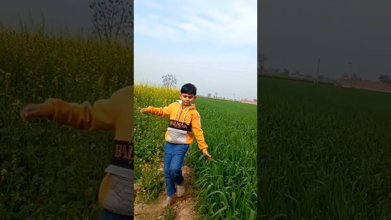 Beautiful crop fields #green green every where #Respect Farmers