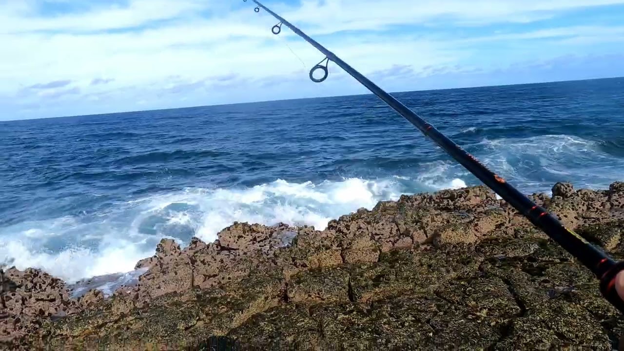 CATCH AND COOK - Trevallies in the pan! #fishing #mauritius