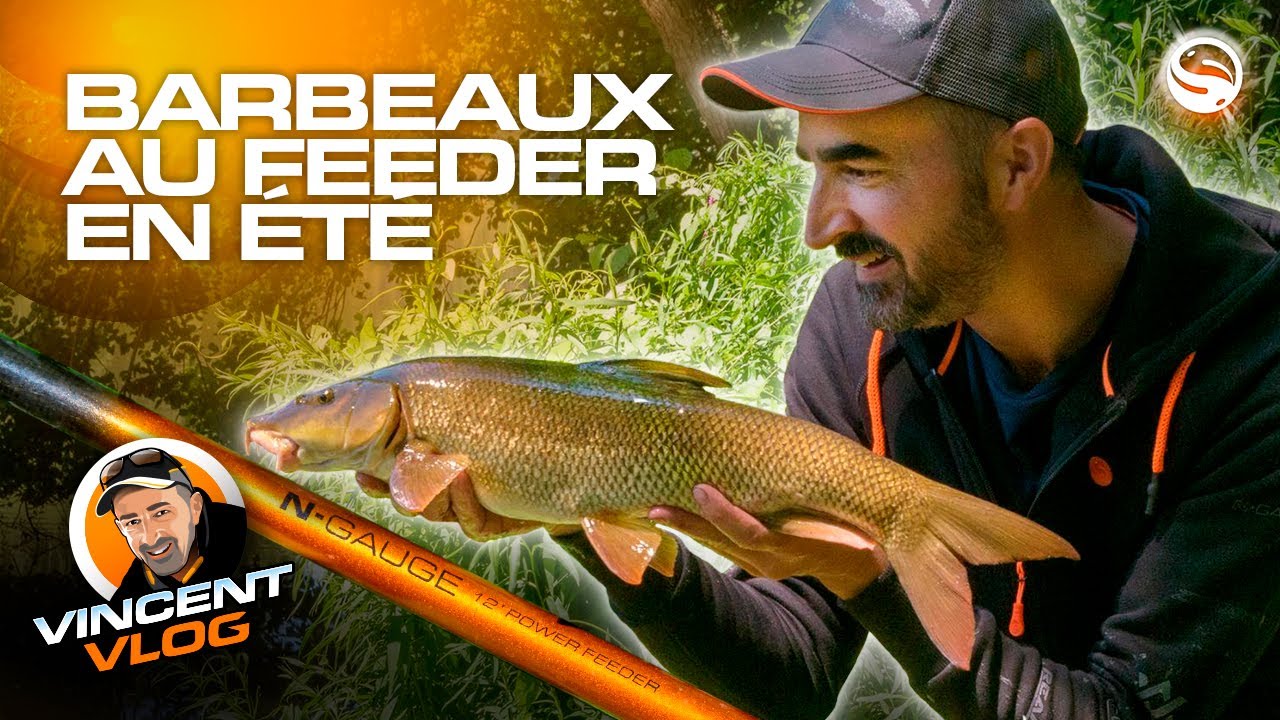 Pêche d'été - Barbeaux au Feeder en rivière - VINCENT VLOG #4