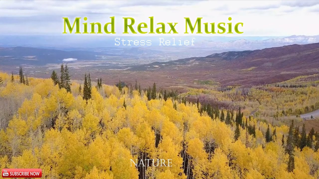 Mind Relax Music | Nature Videos | Stress Relief | Relaxation Music | Background Music