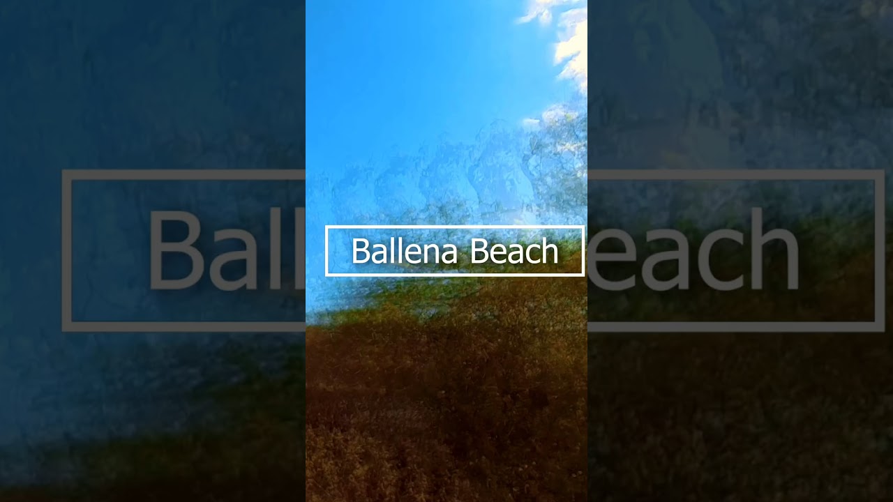 Боске Секо де Гуаника. Государственный лес Гуаника 