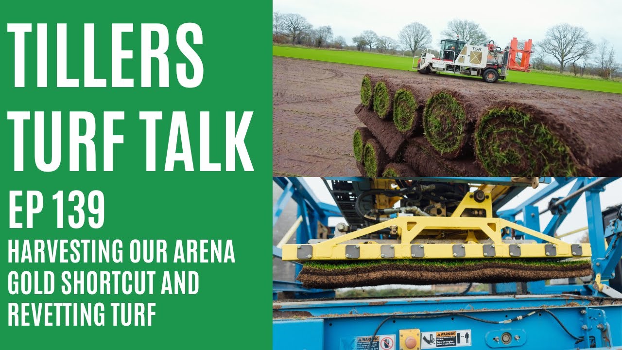 Harvesting Arena Gold Shortcut & Revetting Turf | Tillers Turf Talk EP 139