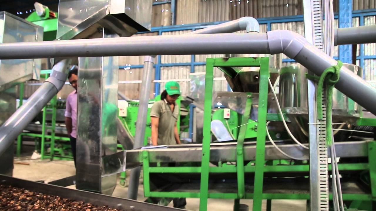 Machine de noix cajou