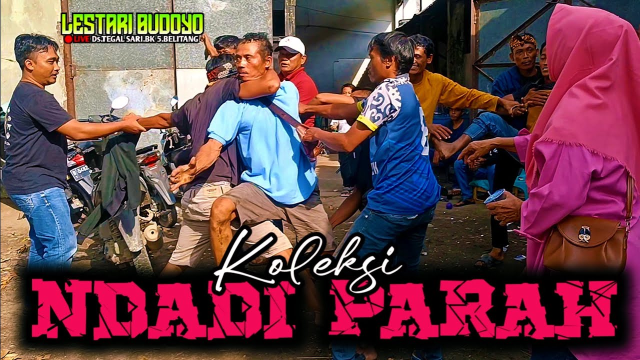 🔴KOLEKSI NDADI PARAH❗PENTAS Jaranan LESTARI BUDOYO@SENIID 