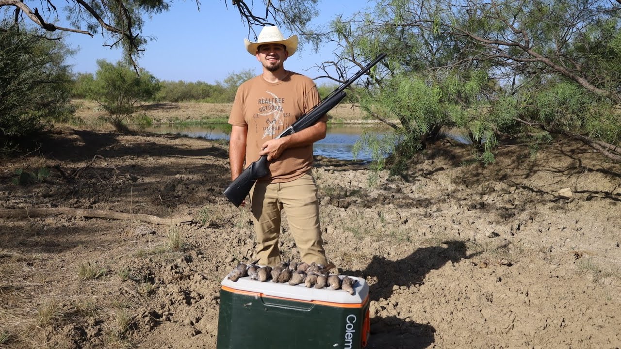 2025 Texas Dove Hunting - 2 Man Limit | ShotKam 