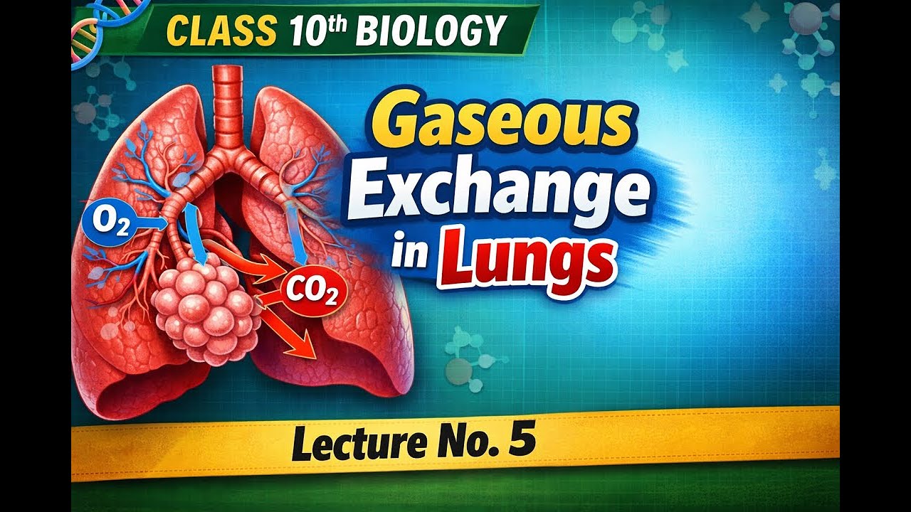 Gaseous Exchange in Lungs | Class 10 Biology | Lecture 5 | Easy Explained Conceptual Science Academy