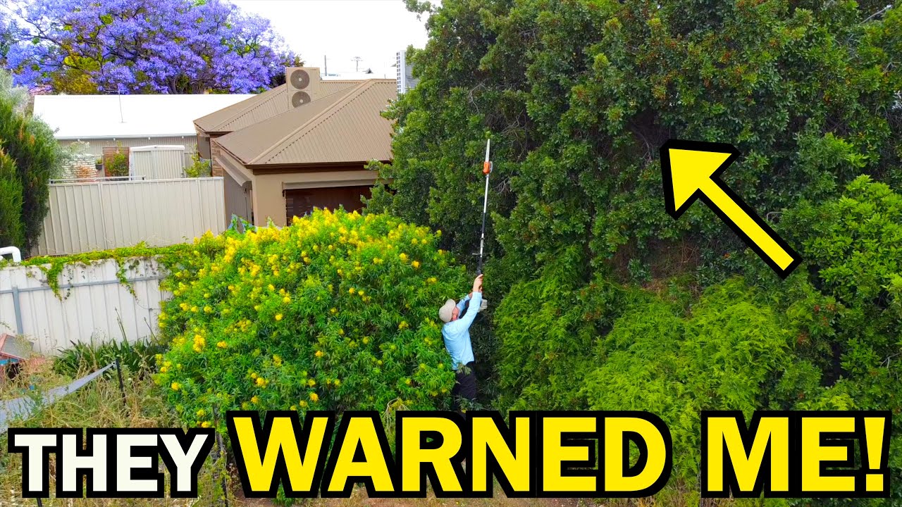 You Won't Believe What I Found Behind His House - INSANE YARD TRANSFORMATION
